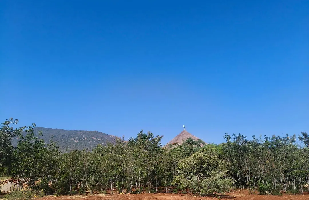 Tausa Tsavo Eco Lodge-1